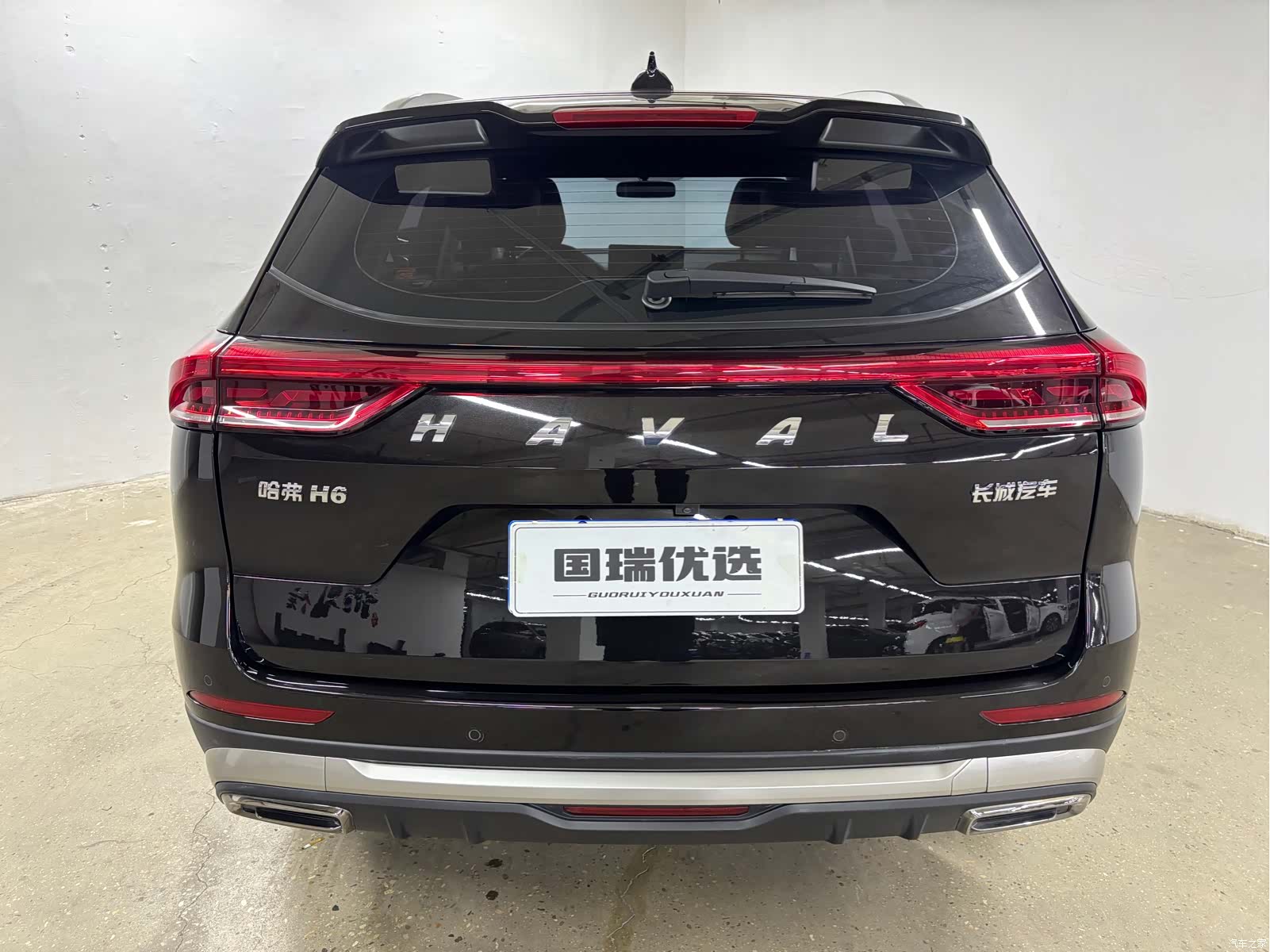 Haval H6, 2023 все фото