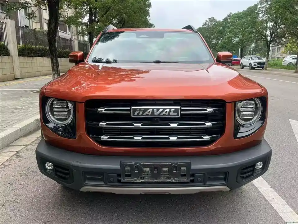 Haval Big dog