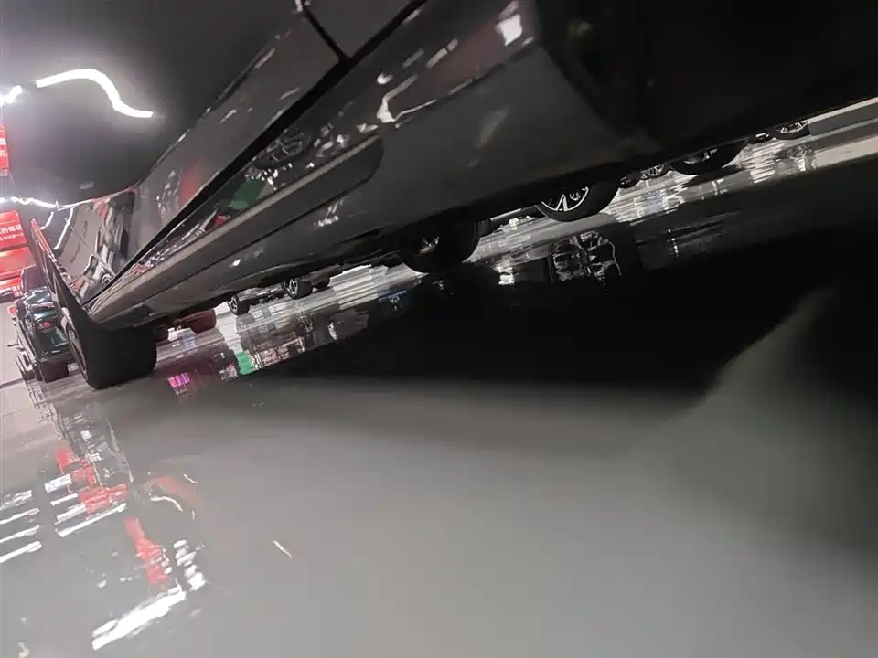 Trumpchi Shadow Leopard