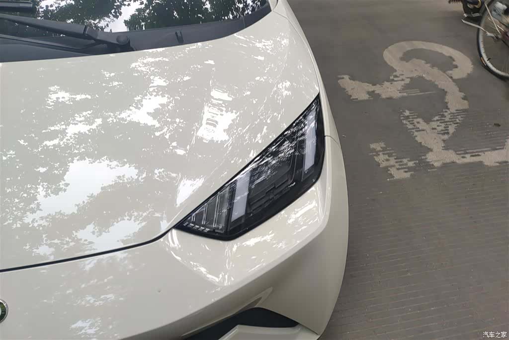 BYD Seagull, 2025 все фото