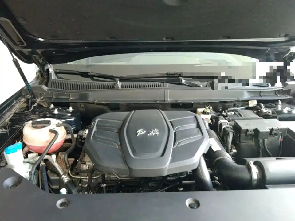 Hongqi HS5
