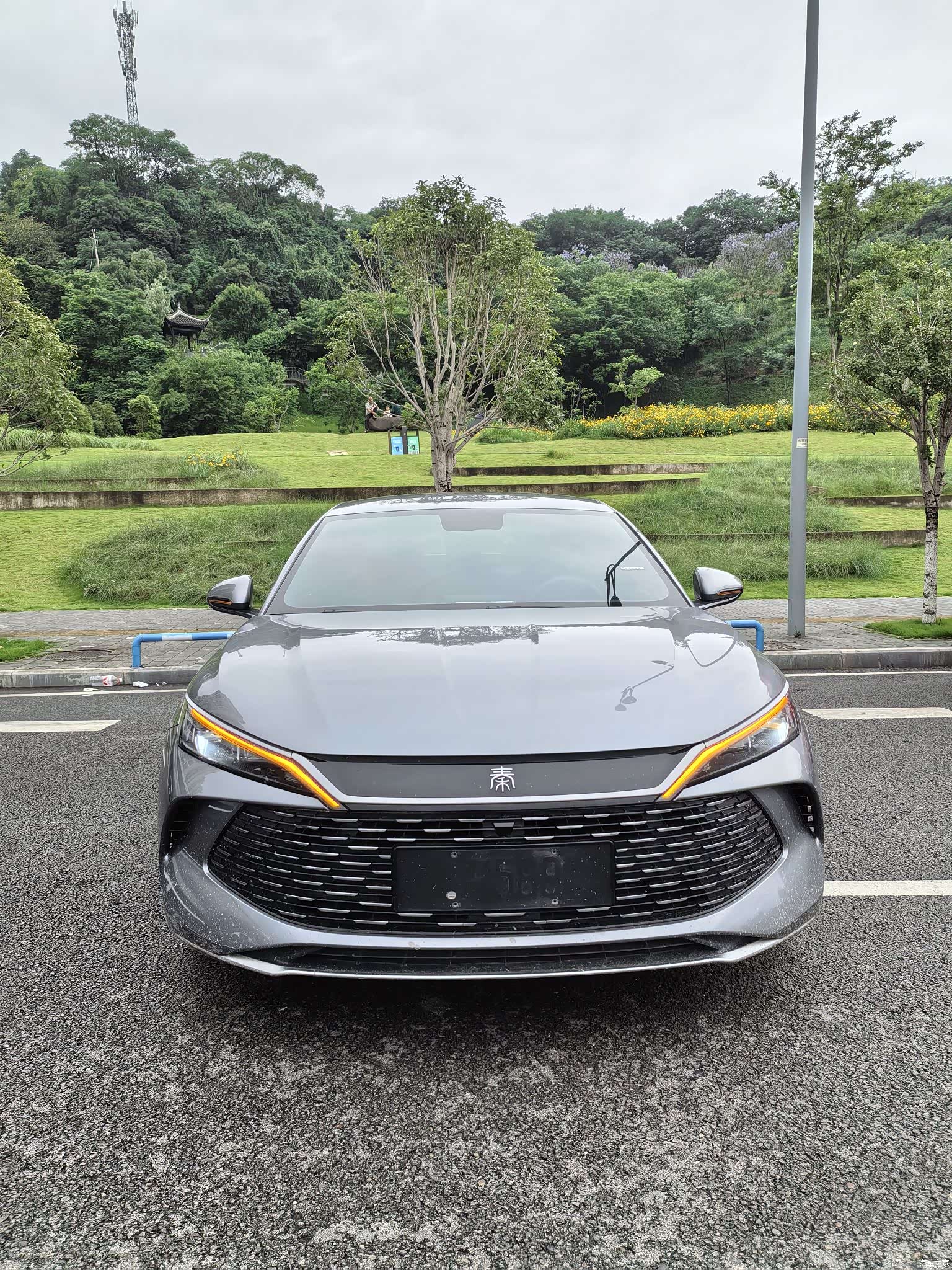 BYD Qin, 2024 2