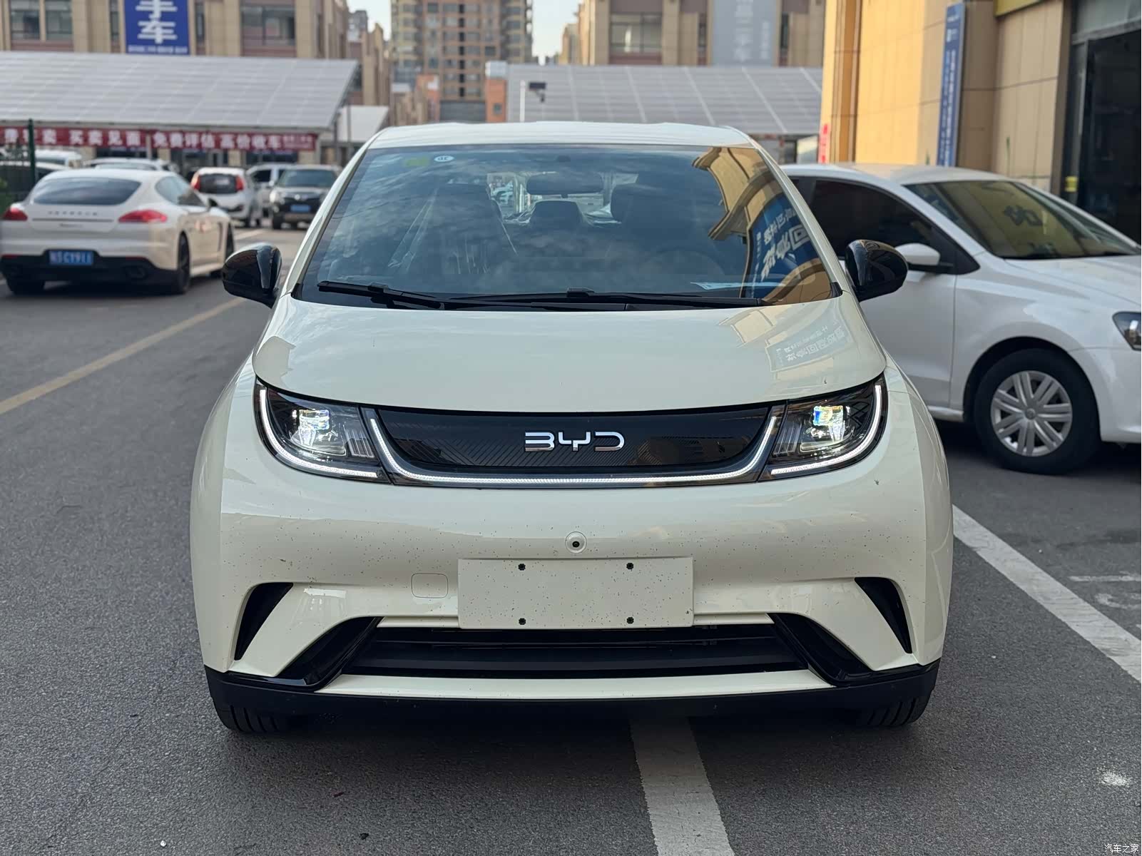 BYD Dolphin, 2026 2