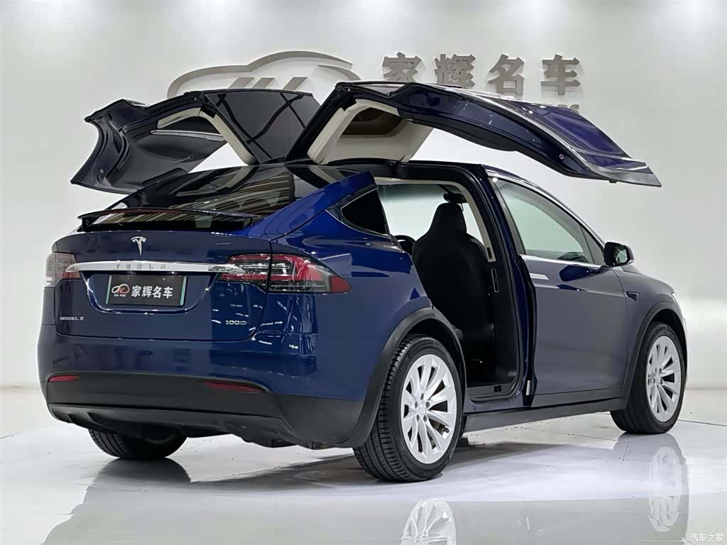 Tesla Model X, 2018 10