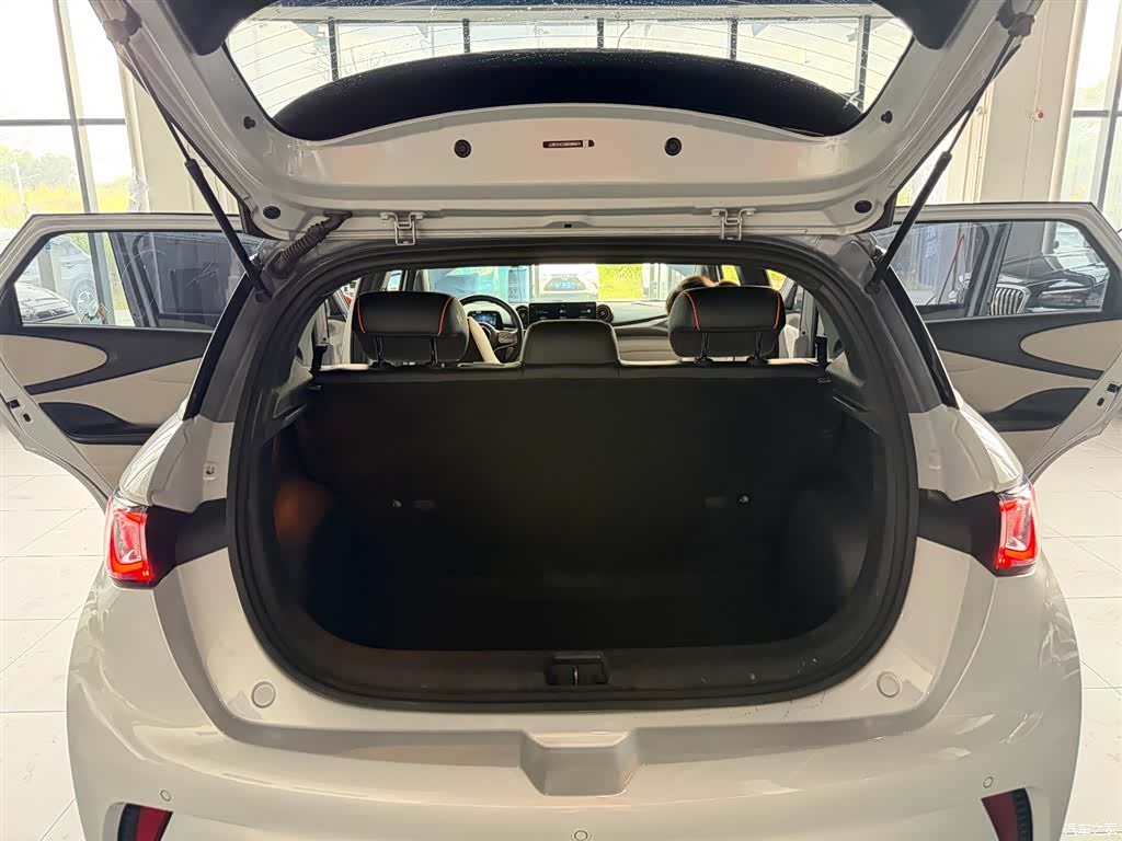 BYD Dolphin, 2022 23