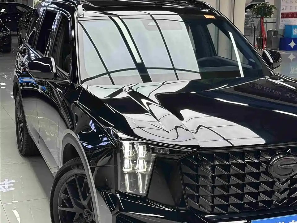 Trumpchi Trumpchi GS8