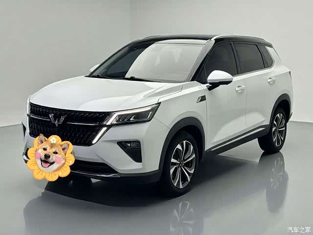 Wuling DHT, 2024 1