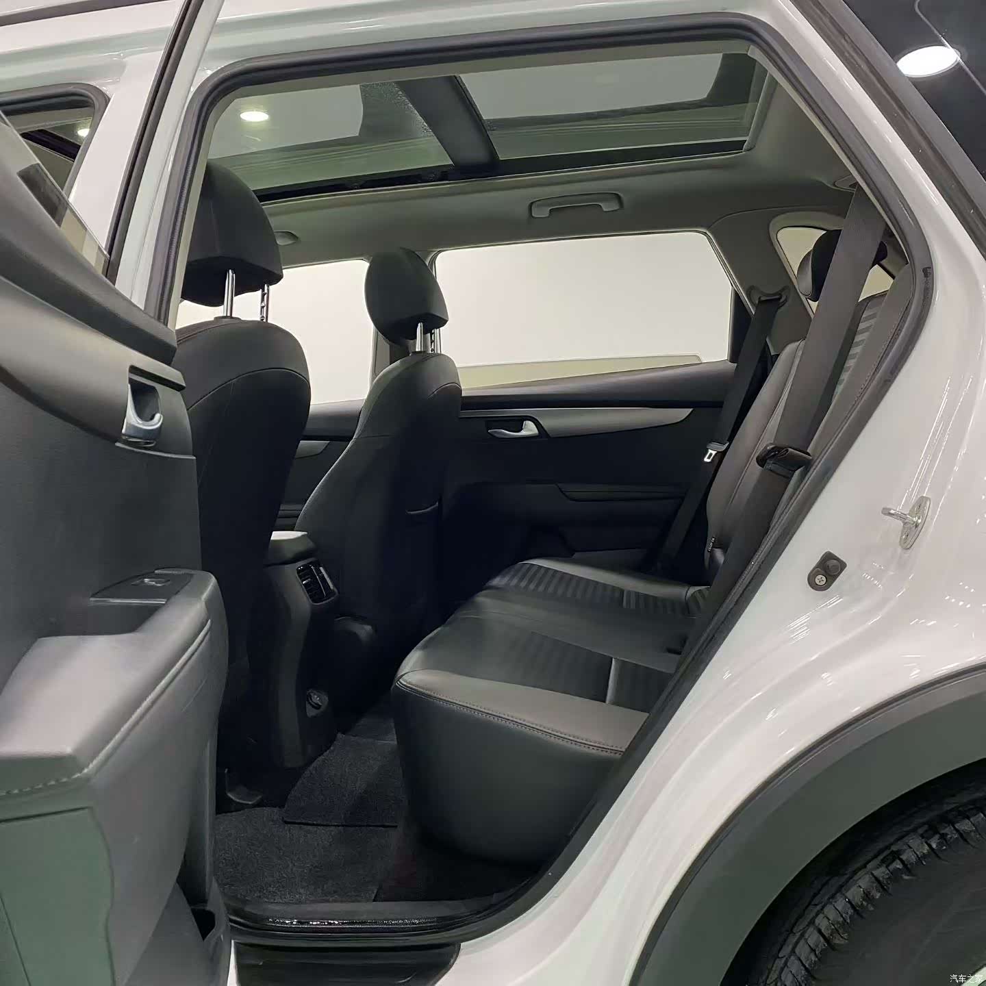 Kia Sportage, 2020 все фото