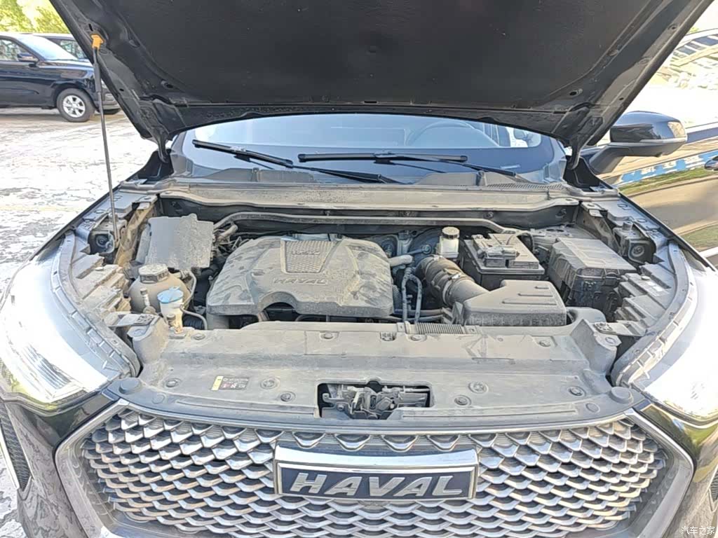 Haval First Love, 2021 20