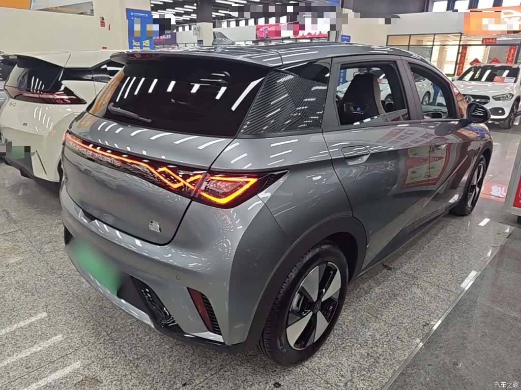 BYD Dolphin, 2024 7