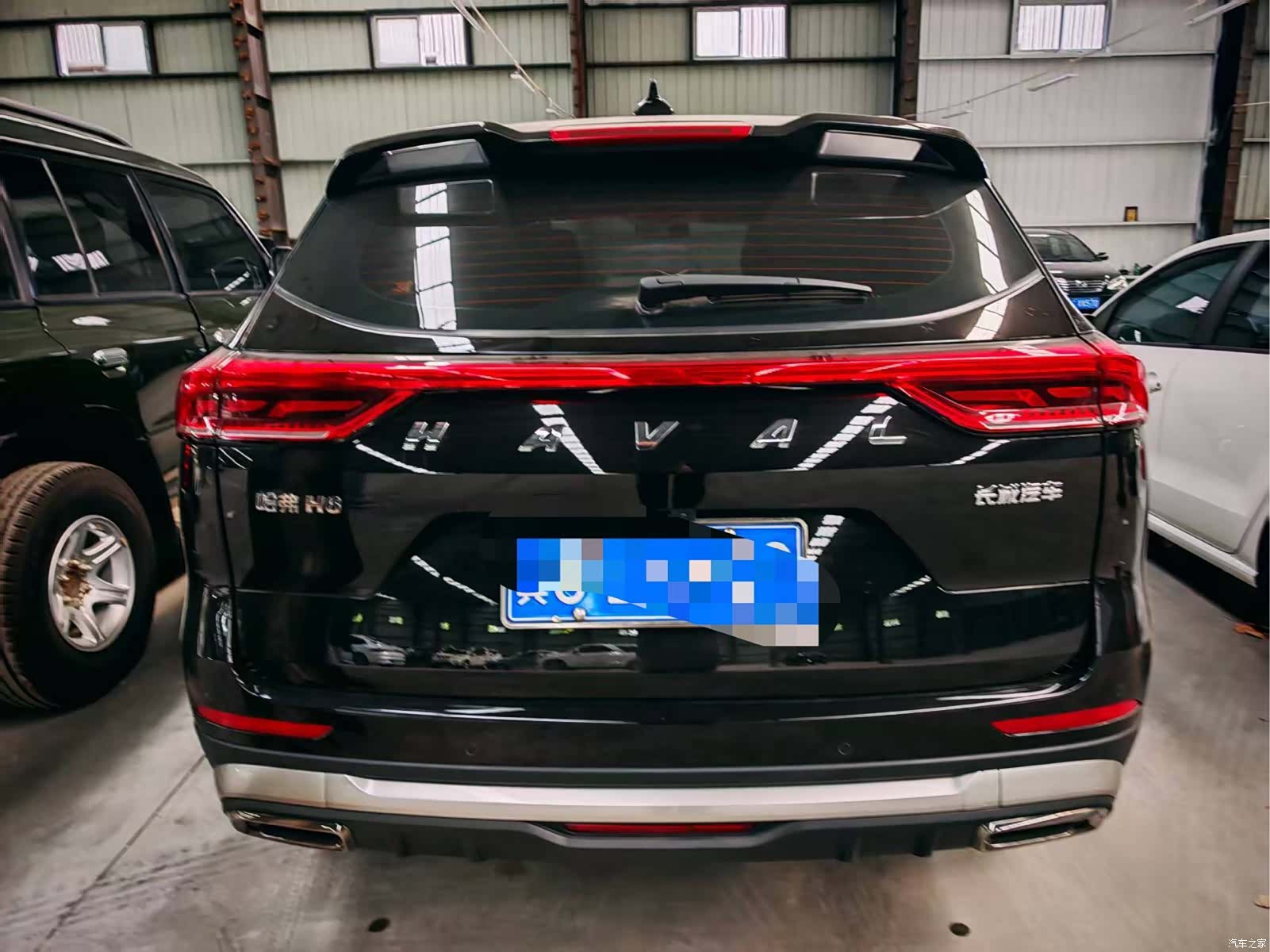 Haval H6, 2024 все фото