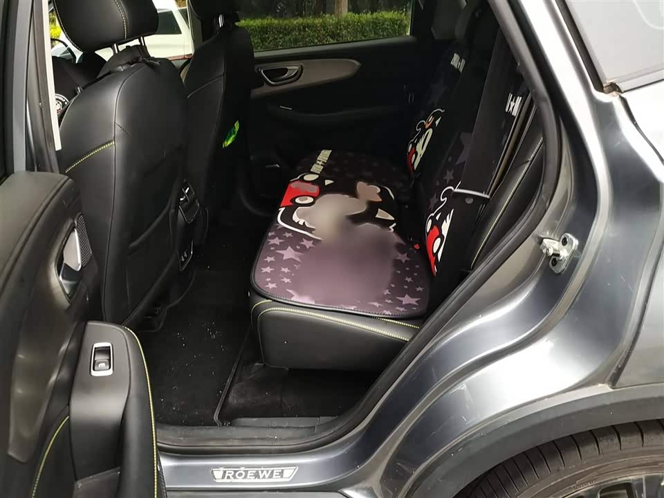 Roewe RX5 New energy