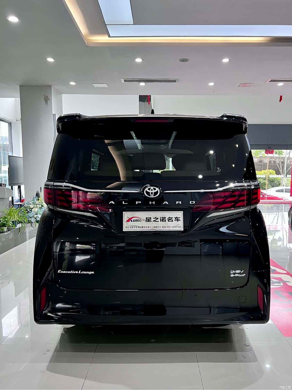 Toyota Alphard, 1900 14