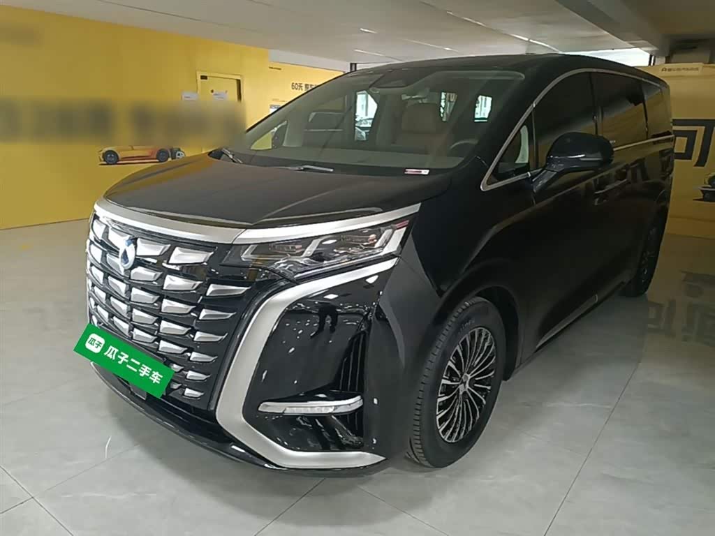 Denza D9