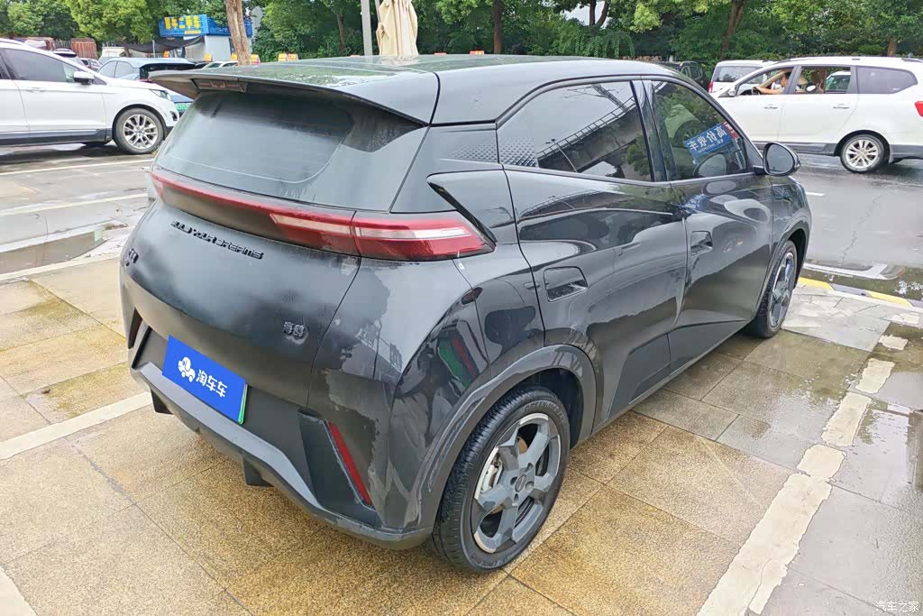 BYD Seagull, 2024 3