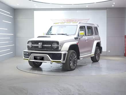 ȫֹ̹300 2021 2.0T ̹