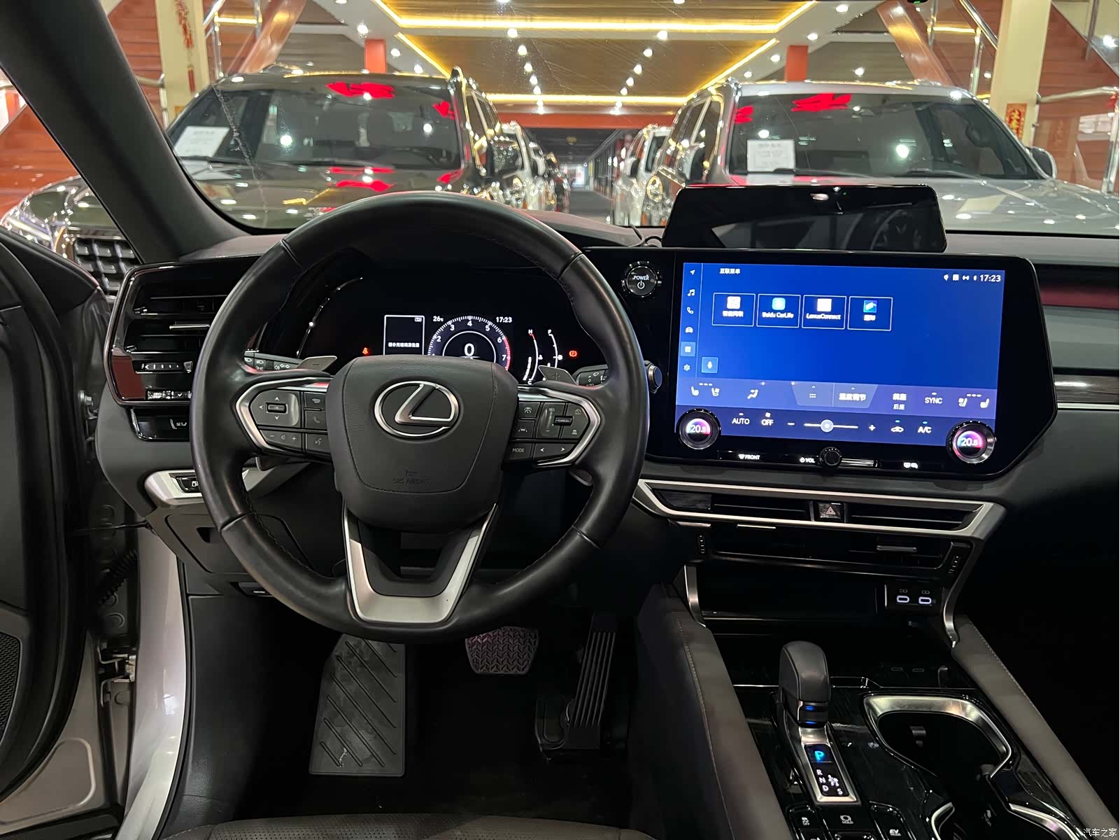 Lexus RX, 2023 9