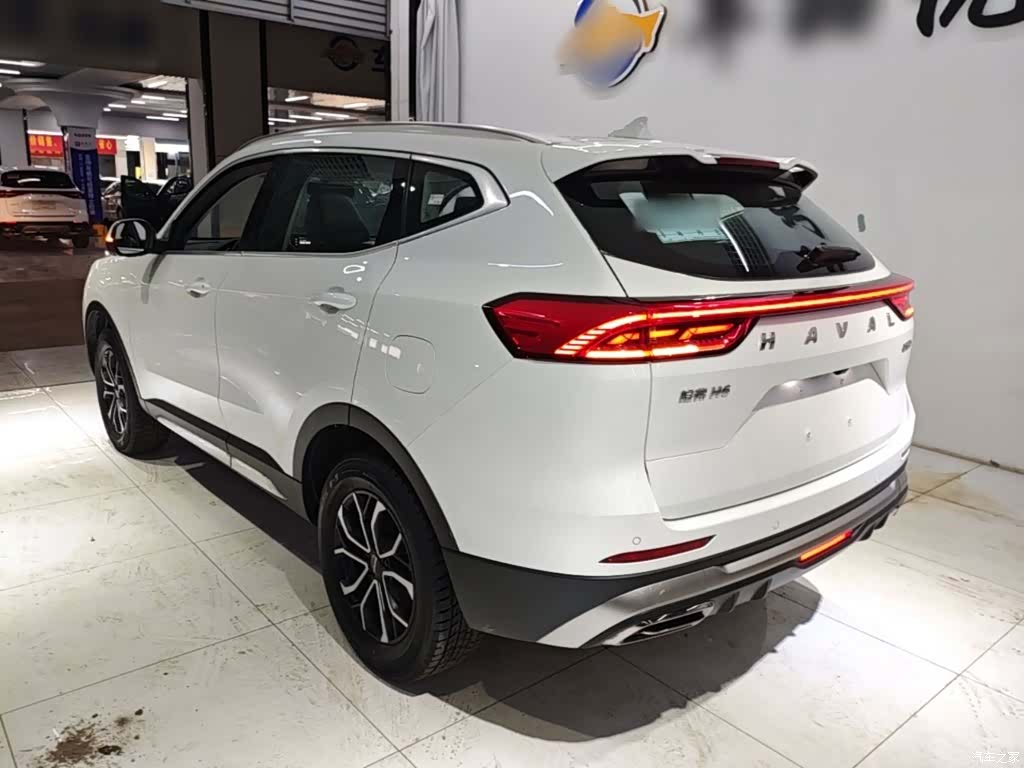 Haval H6, 2024 все фото