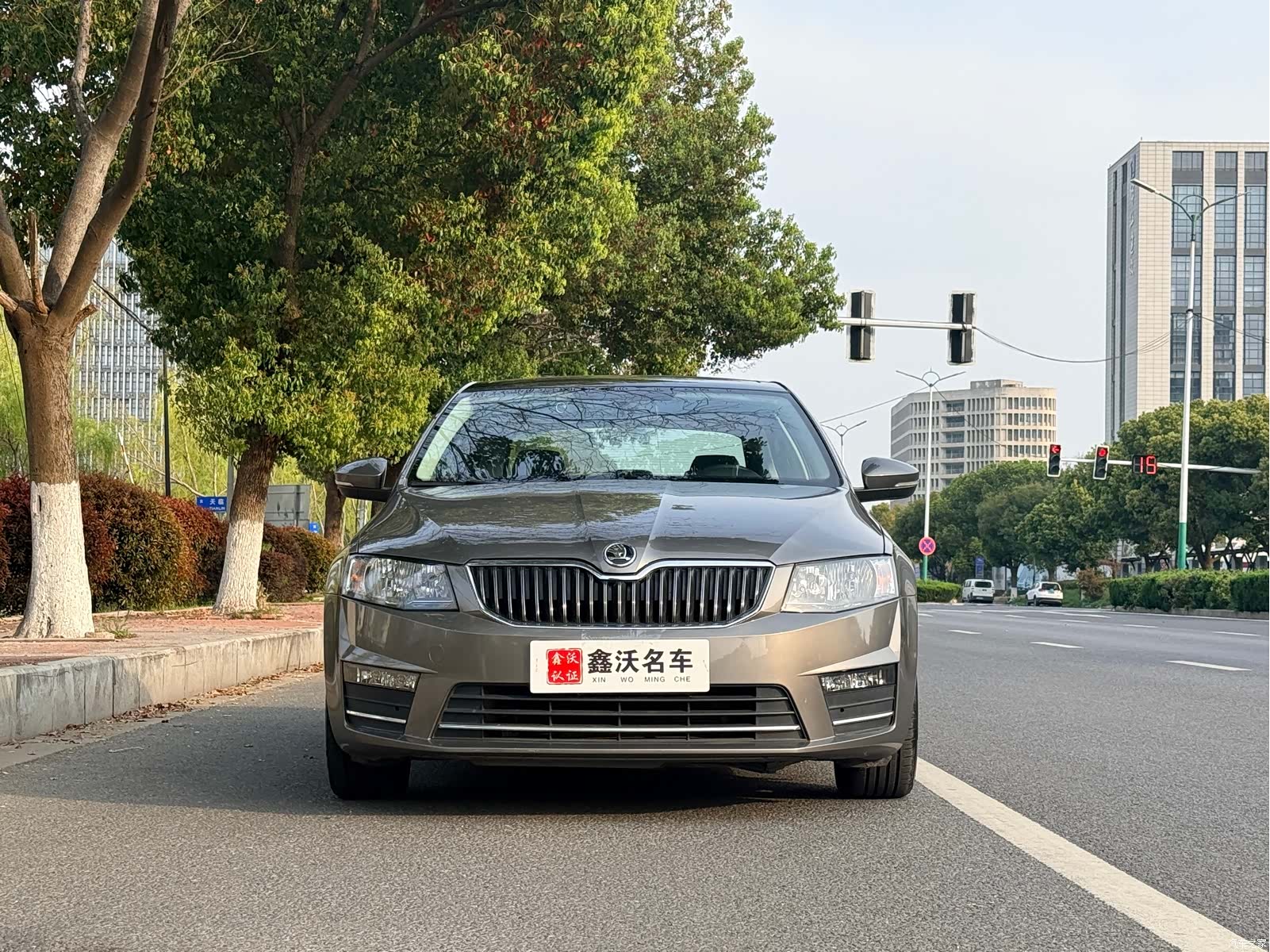 Skoda Octavia, 2016 2
