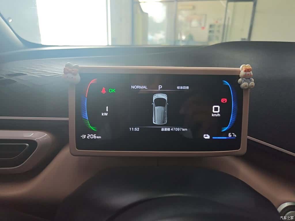 BYD Seagull, 2024 12
