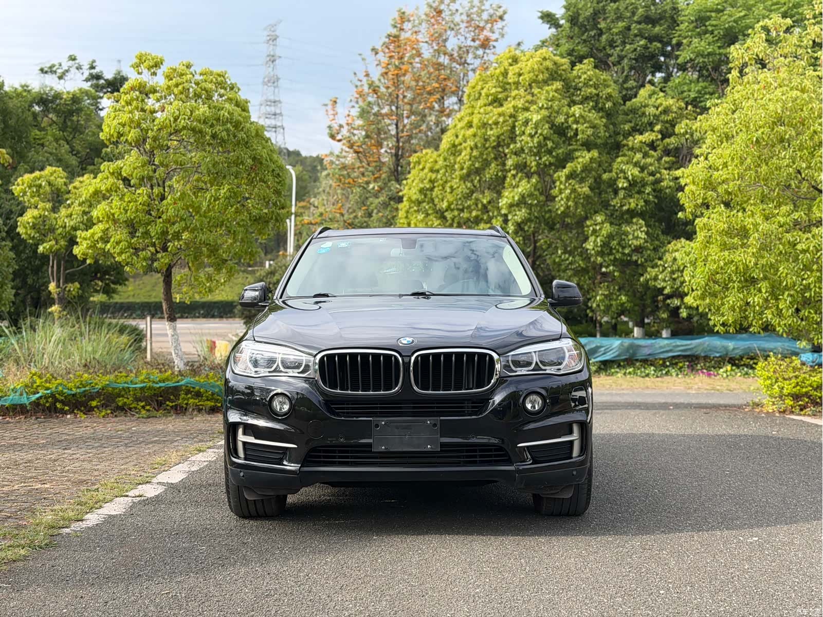 BMW X5, 2017 все фото