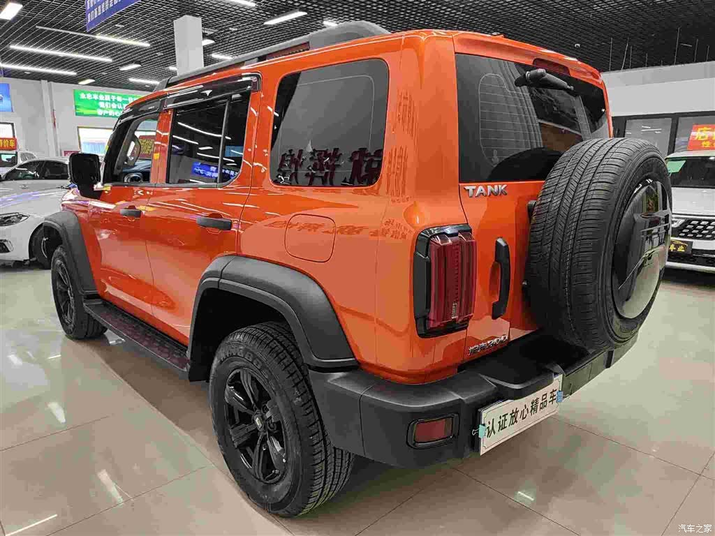 Tank 300, 2022 6