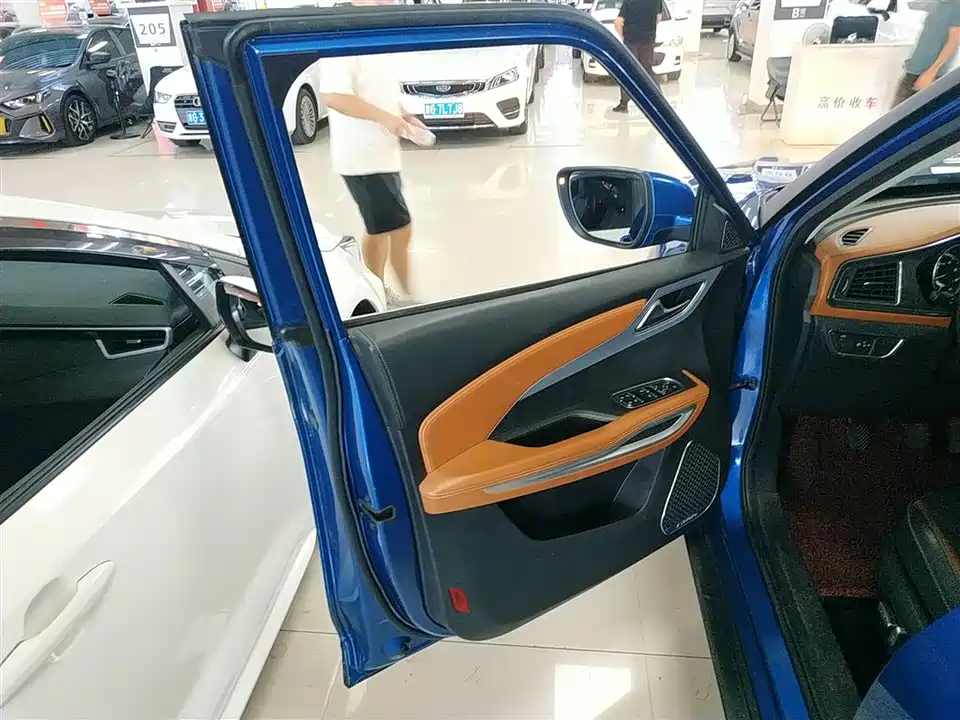 Zotye T300