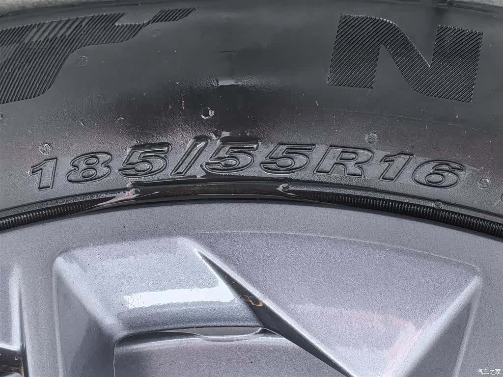 Neta V, 2022 24