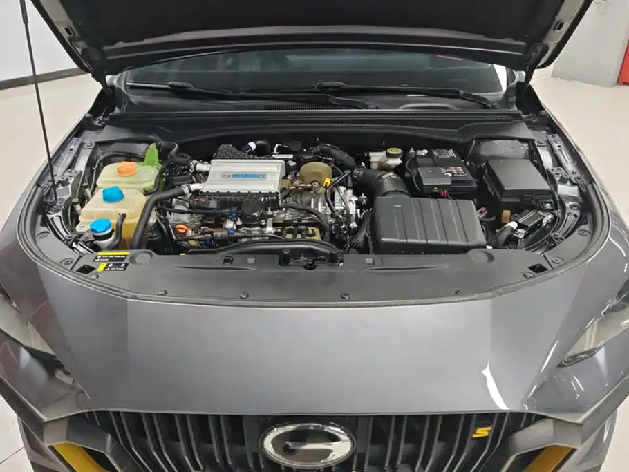 Trumpchi Shadow Leopard