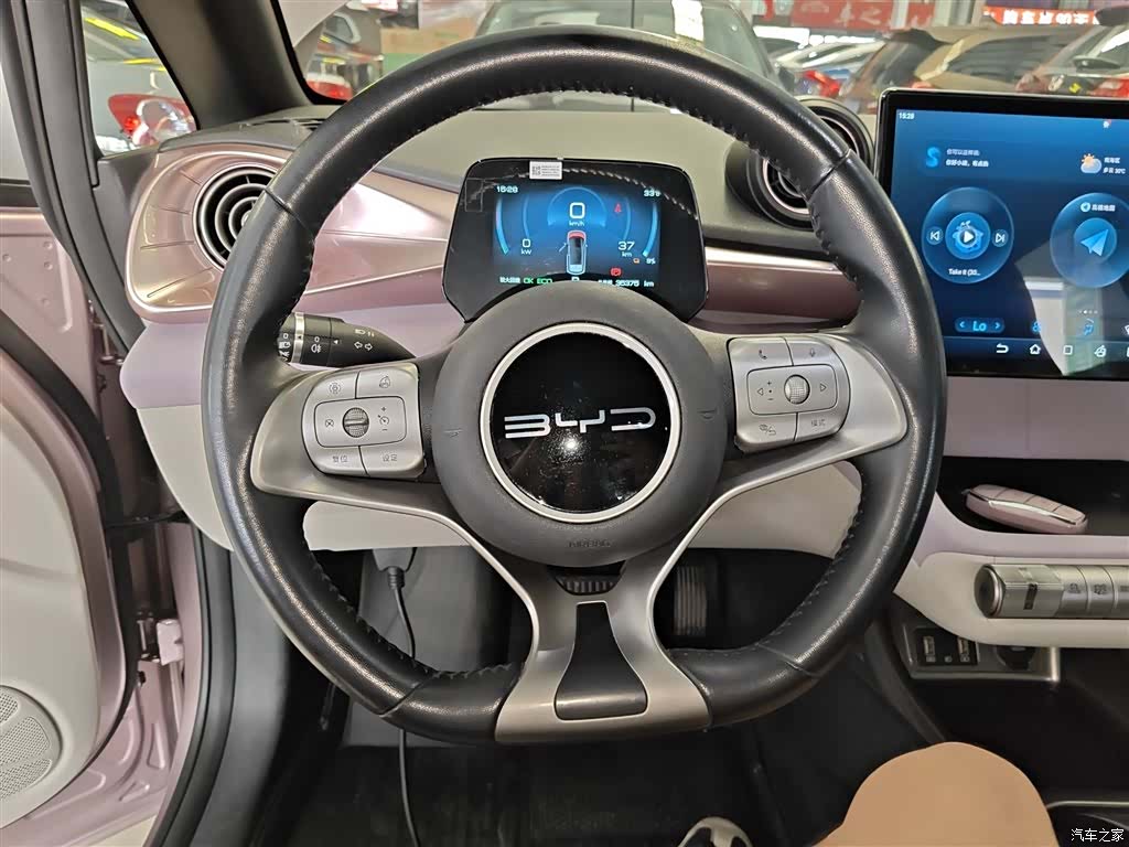 BYD Dolphin, 2023 11