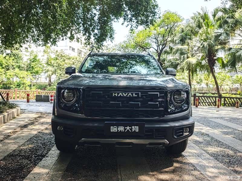 Haval Big Dog, 2025 7