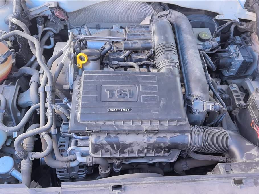 Volkswagen C-TREK Wei Collar