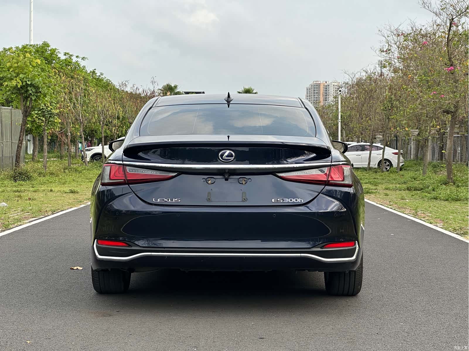 Lexus ES, 2018 все фото