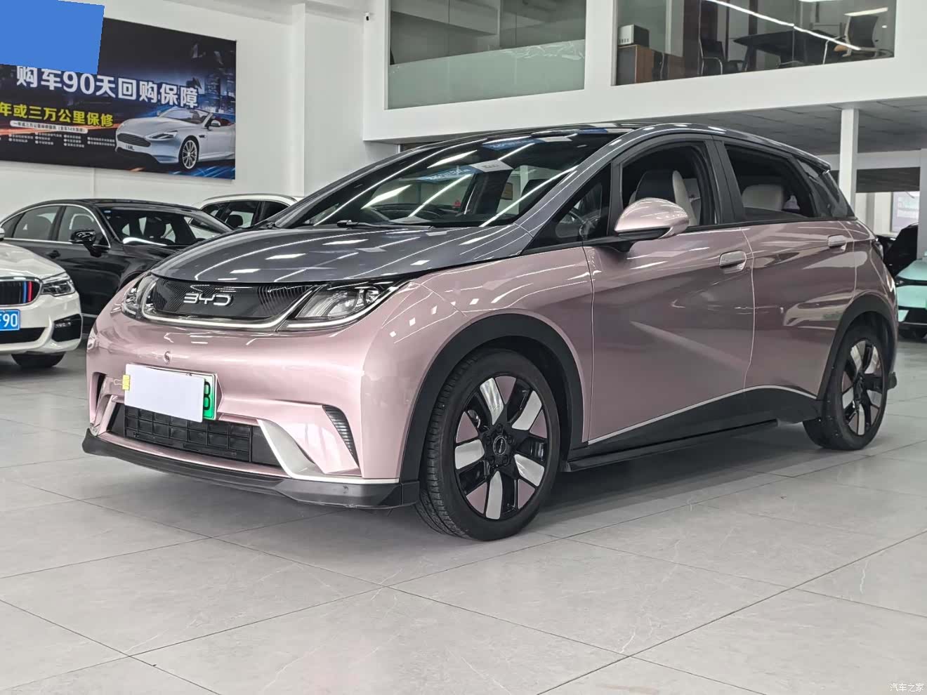 BYD Dolphin, 2022 1