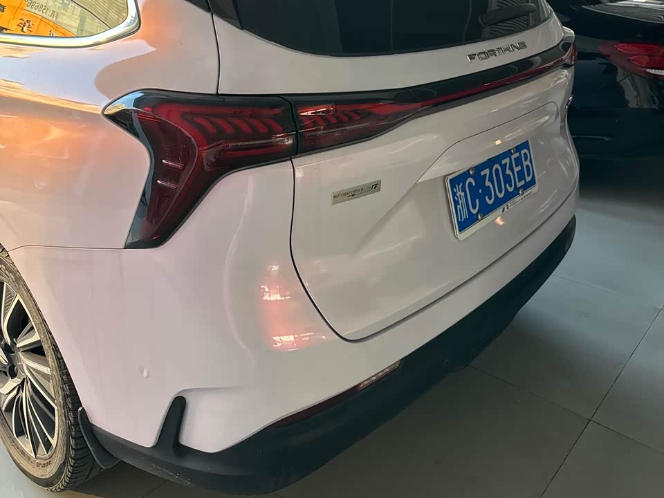 Forthing Popular yachts