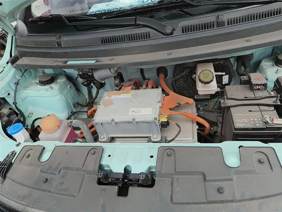 Cowin Picking up the moon