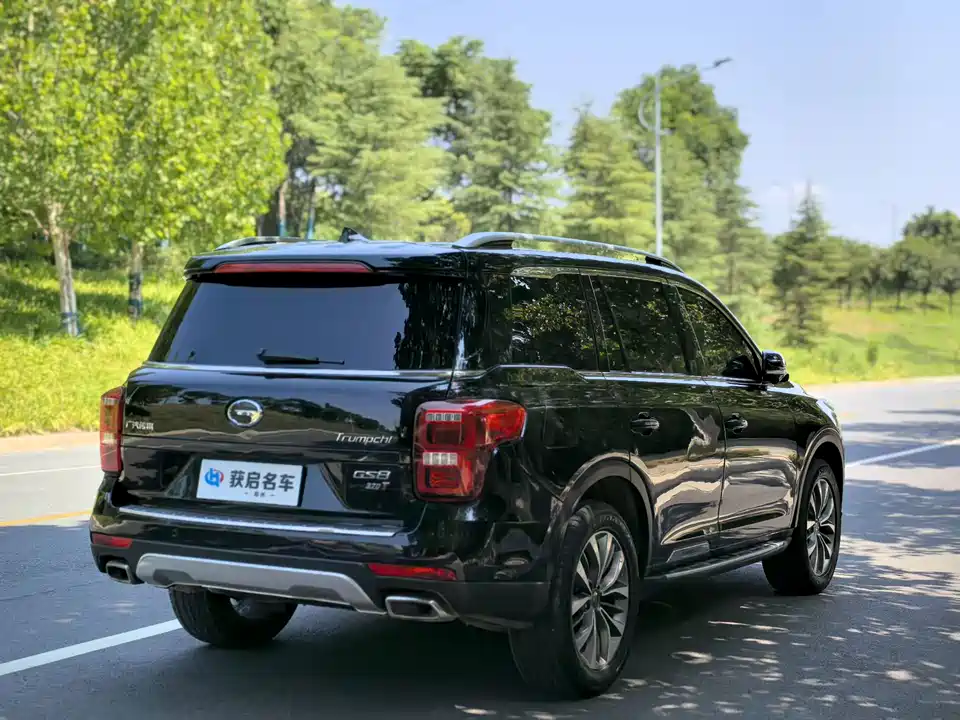 Trumpchi Trumpchi GS8