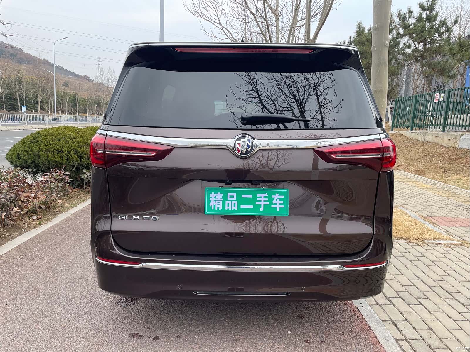 Buick GL8, 2020 все фото