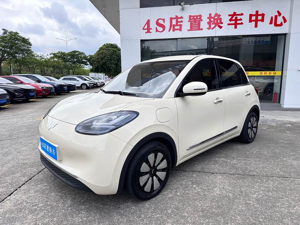 Wuling Binguo