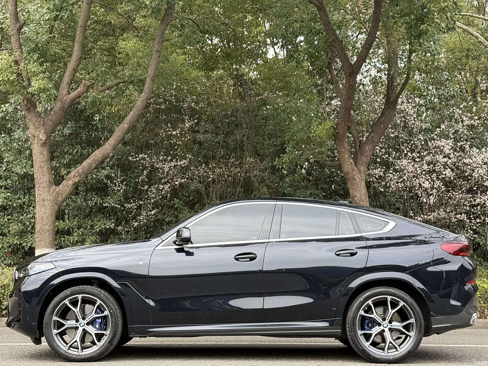 BMW X6, 2025 3