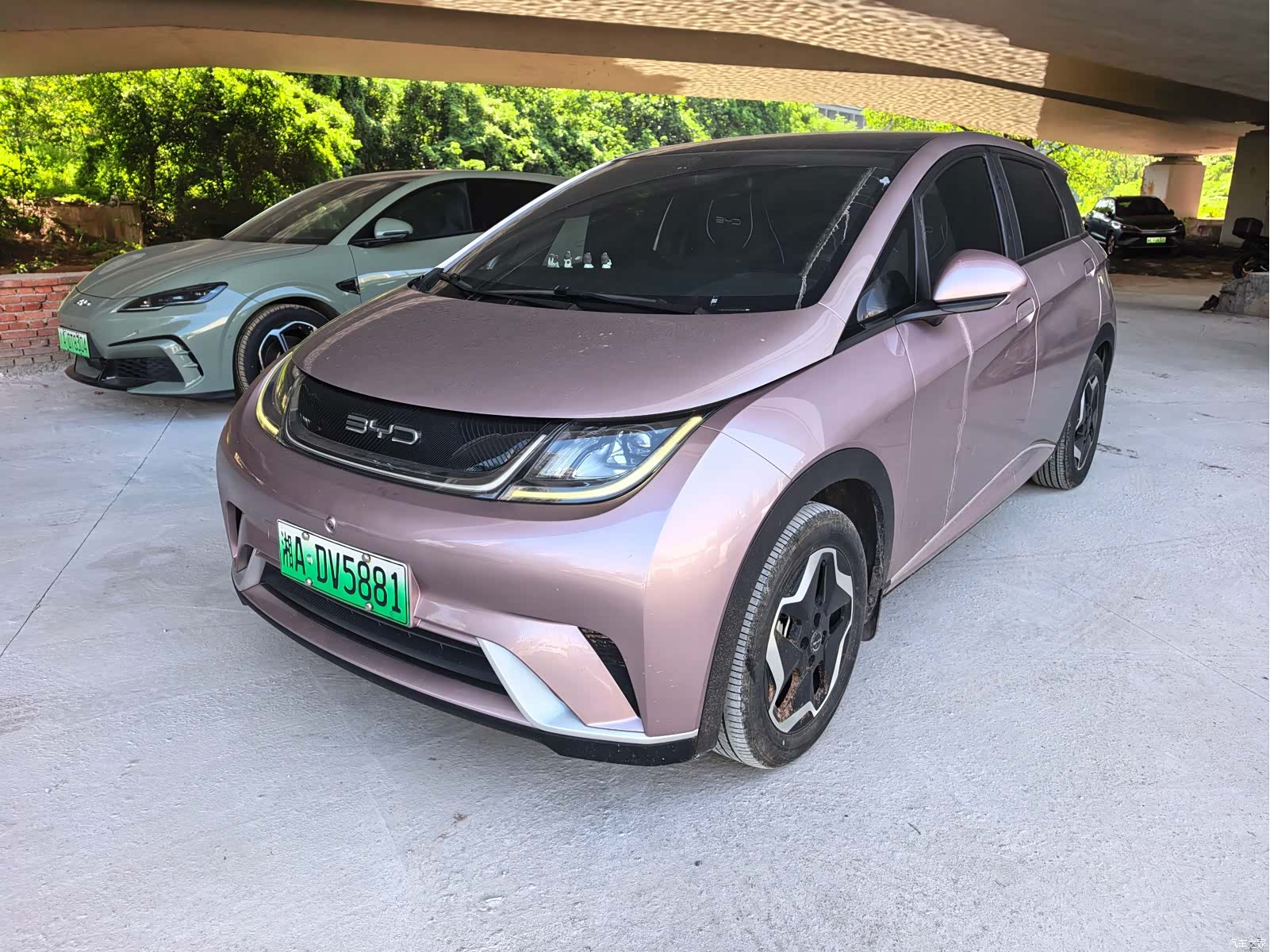 BYD Dolphin, 2022 1