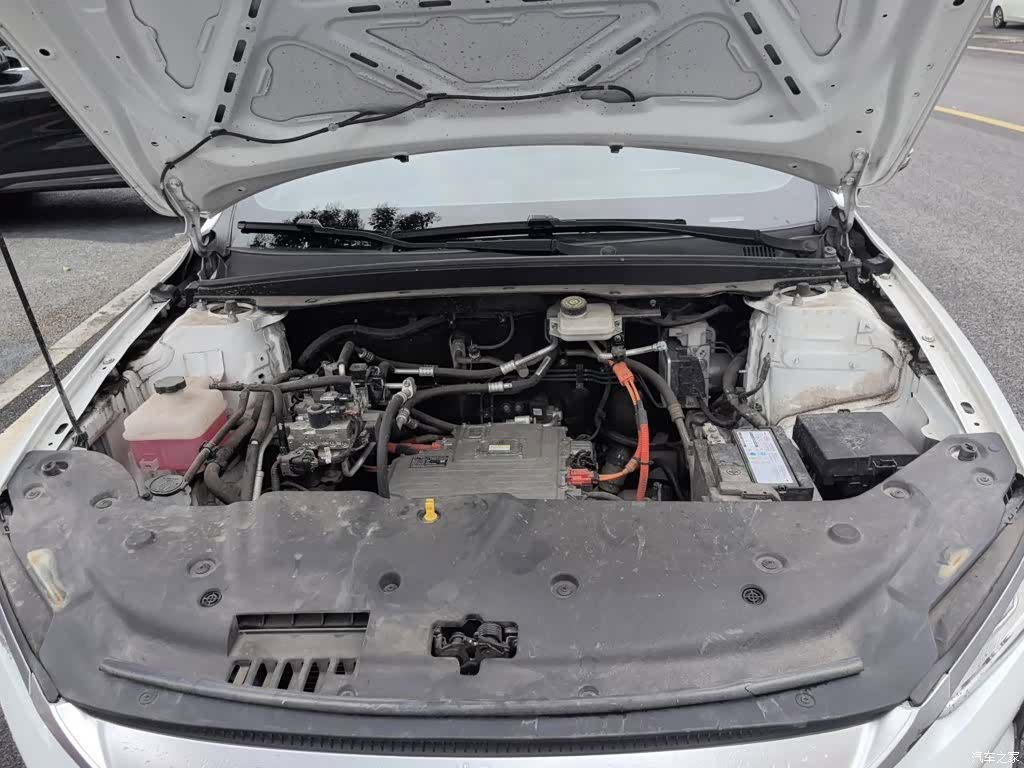 BYD Qin, 2024 11