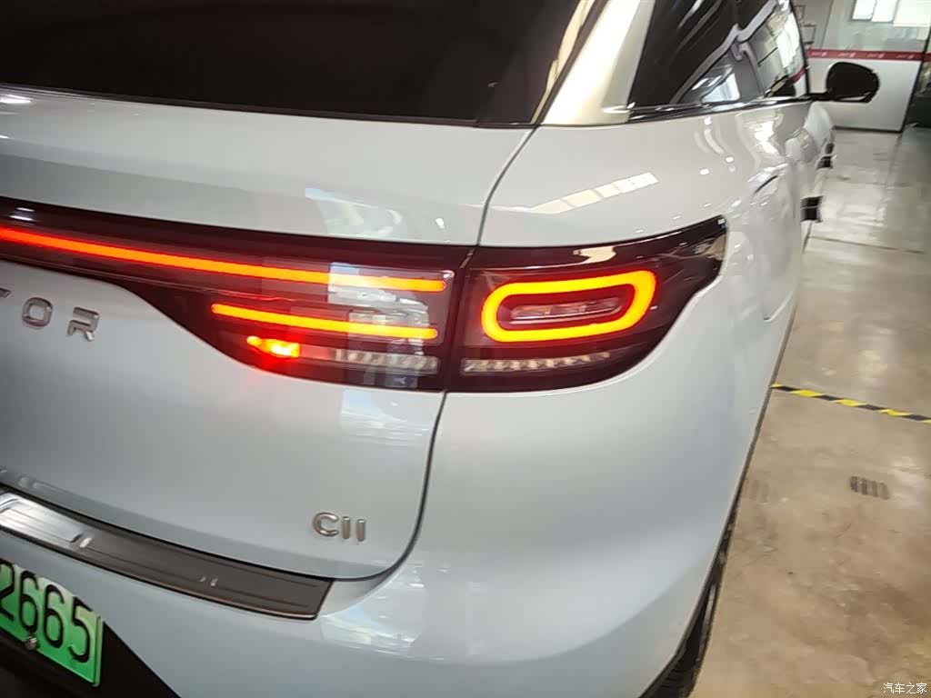 Leapmotor C11, 2024 8