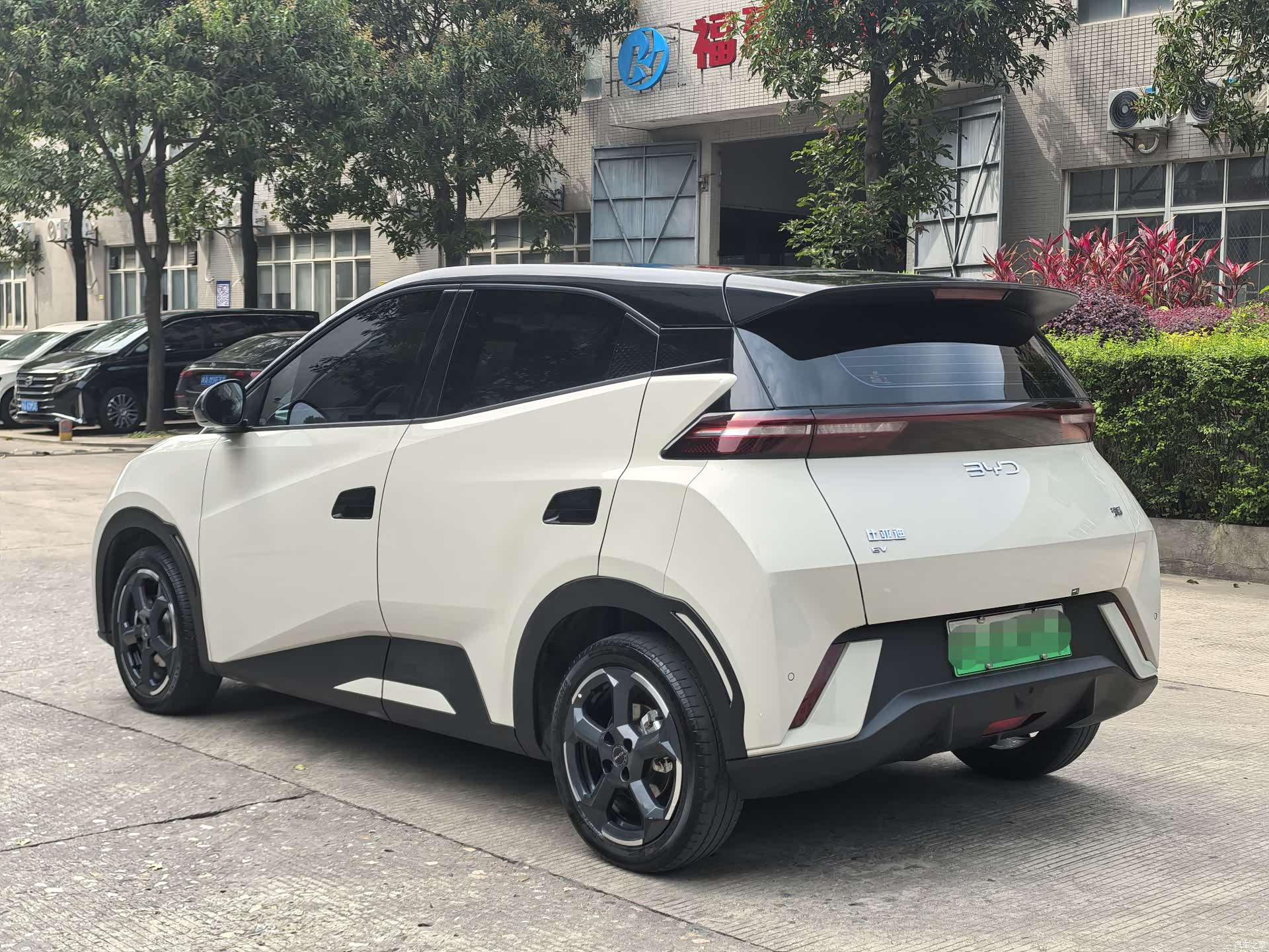 BYD Seagull, 2024 4