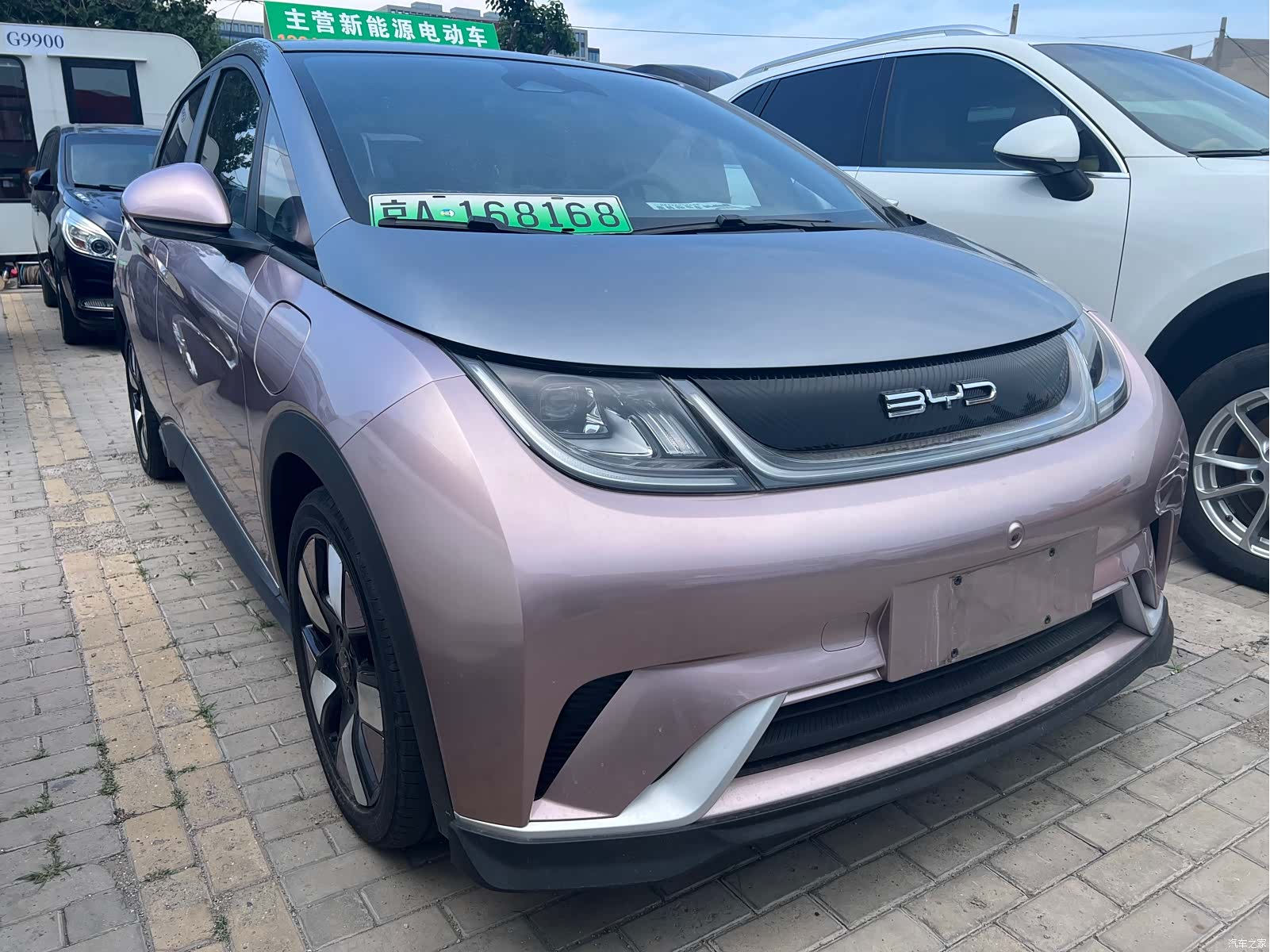 BYD Dolphin, 2022 3