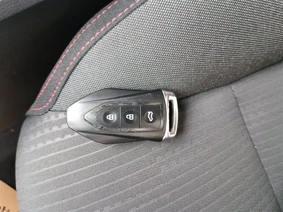 Leopaard Cheetah CS9