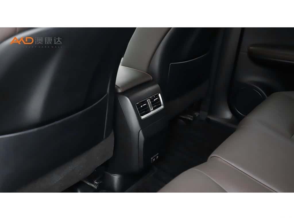 Lexus RX, 2020 9