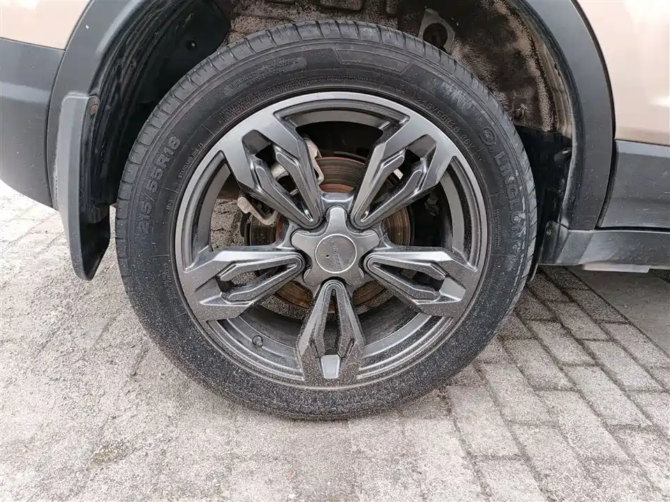 Leopaard Cheetah CS9