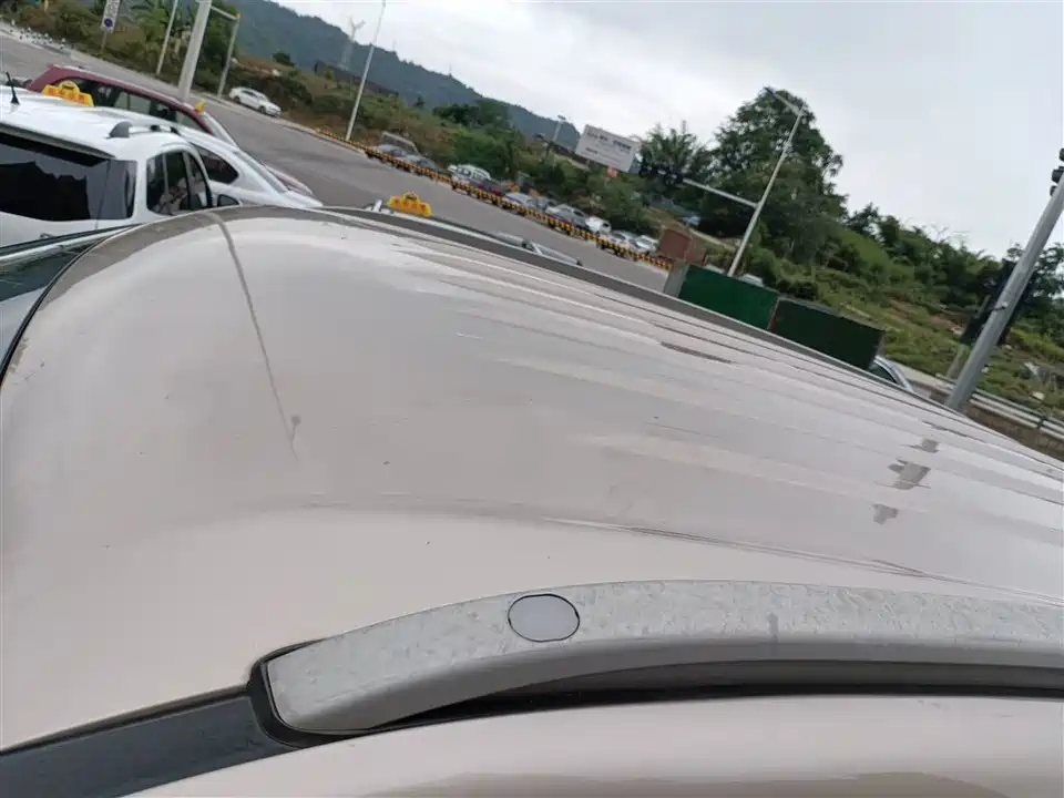 Leopaard Cheetah CS9