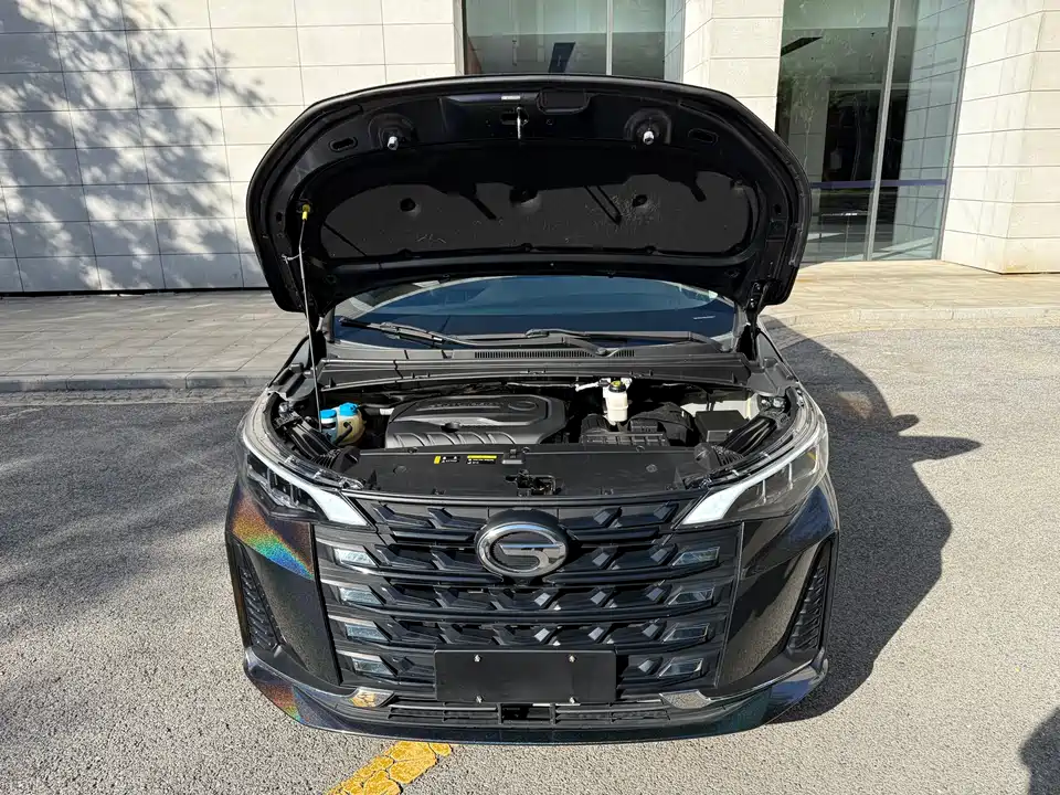 Trumpchi Trumpchi M6